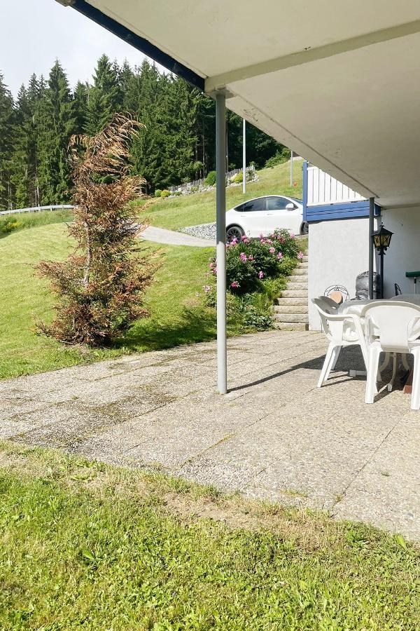 Apartament Haus Waldblick Philippsreut Zewnętrze zdjęcie