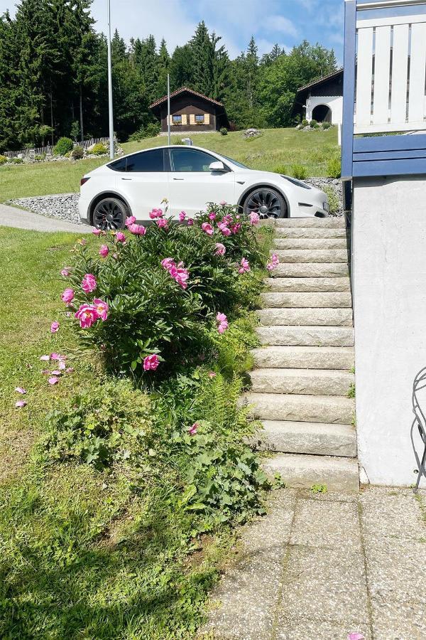 Apartament Haus Waldblick Philippsreut Zewnętrze zdjęcie